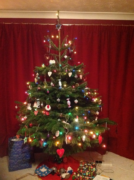 Show Us Your TREES!