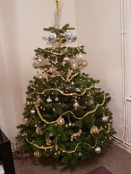 Show Us Your TREES!