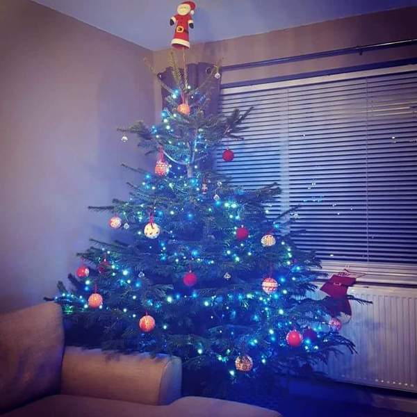 Show Us Your TREES!