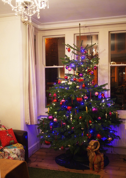 Show Us Your TREES!