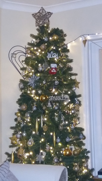 Show Us Your TREES!