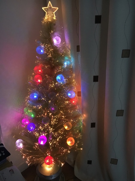 Show Us Your TREES!