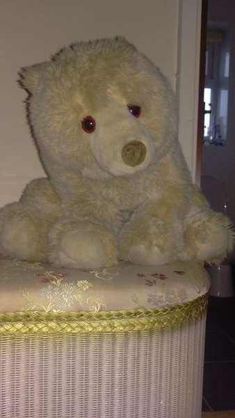 ..to be upset that DP shares custody of his teddy bear with his ex?
