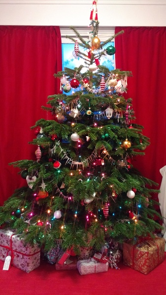 Show Us Your TREES!