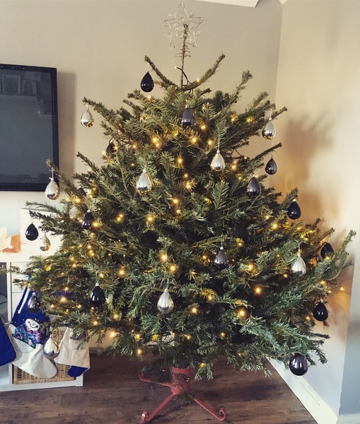 Show Us Your TREES!