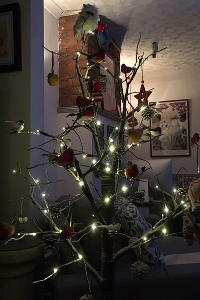 Show Us Your TREES!