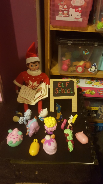 Do we have a show us yer elf thread