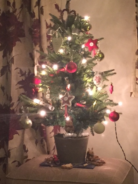 Show Us Your TREES!