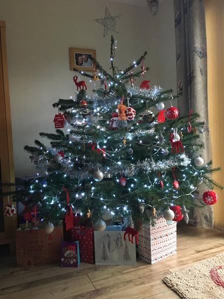 Show Us Your TREES!