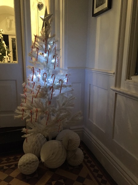 Show Us Your TREES!