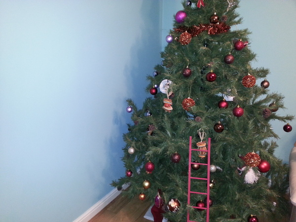 Do you have a themed tree or an 'anything goes' tree?