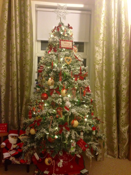 Show Us Your TREES!