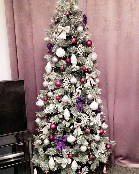 Show Us Your TREES!
