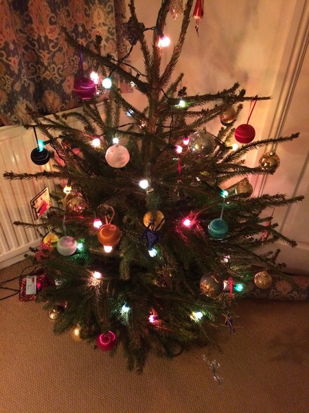 Xmas tree - cat wee