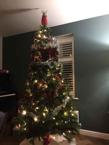 Show Us Your TREES!