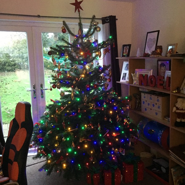 Show Us Your TREES!