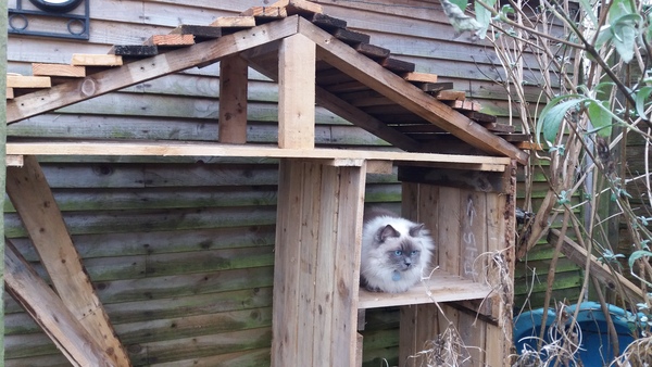 To think my neighbours are taking the piss? (Pic)