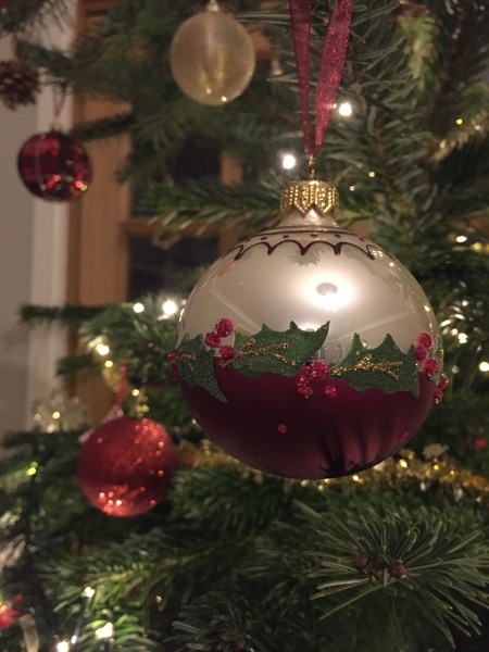 Show Us Your TREES!