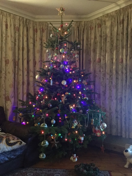 Show Us Your TREES!