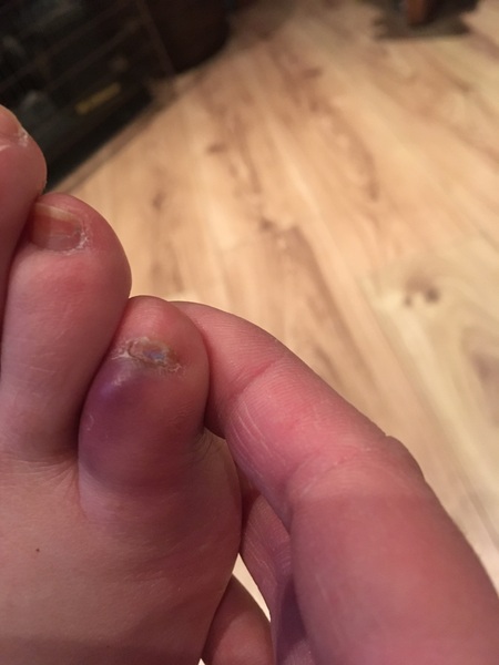 Festive Frugaleers - Chatting and saving through Christmas.