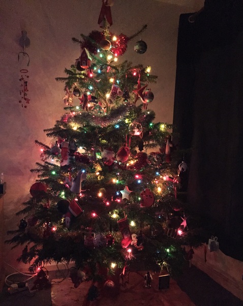 Show Us Your TREES!
