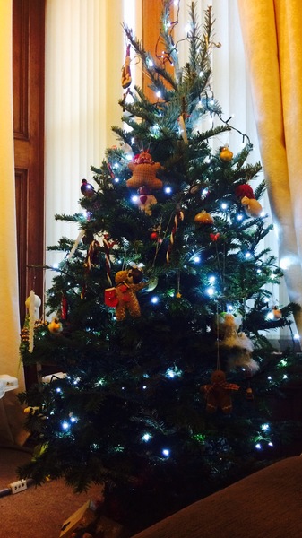 Show Us Your TREES!