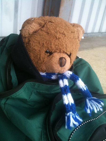 ..to be upset that DP shares custody of his teddy bear with his ex?