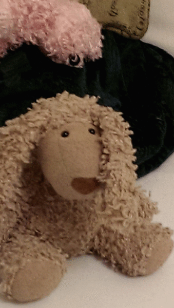 desperate for lost teddy (Jellycat 2008) - can anyone help?