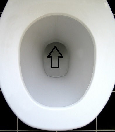 All i want for Christmas is a decent toilet brush...