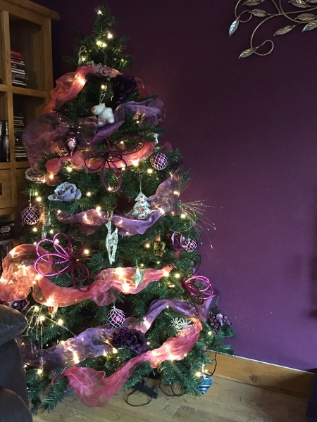 Show Us Your TREES!