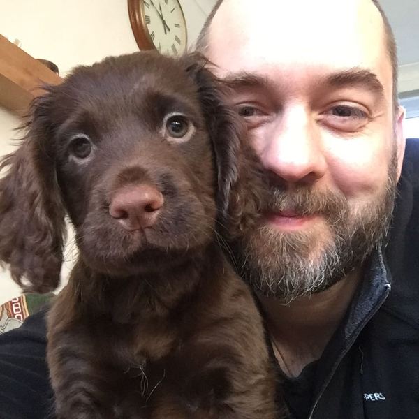 Working cocker spaniel decision!