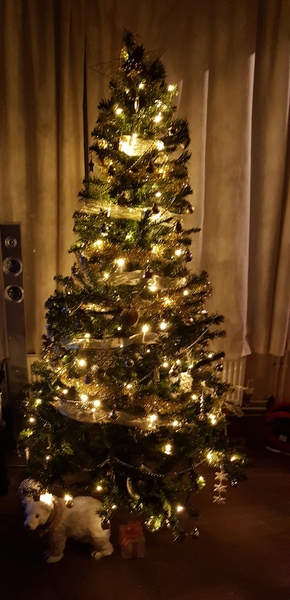 AIBU to feel my Christmas tree is making my house look tacky?