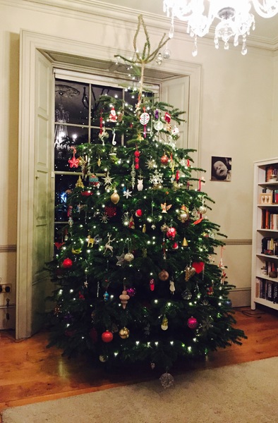 Show Us Your TREES!