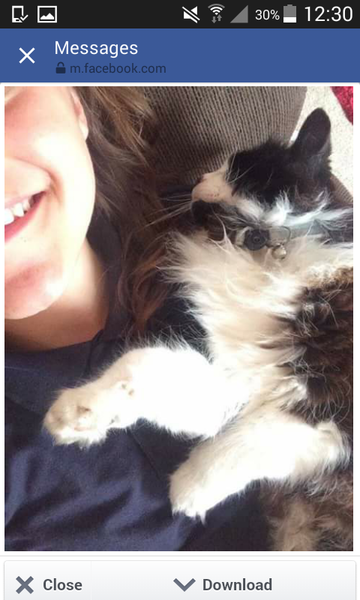 WIBU to wake up my kitten because he kept me up all night? *pics*