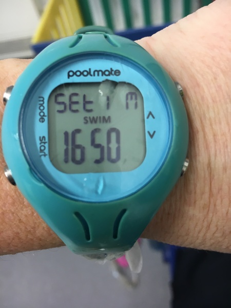 swimming for fitness