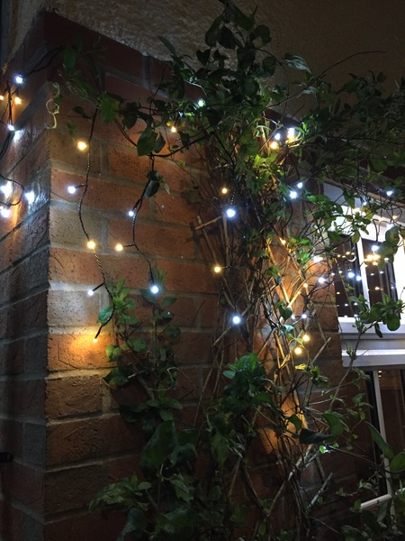 Squint Christmas lights on my house