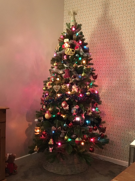 Show Us Your TREES!