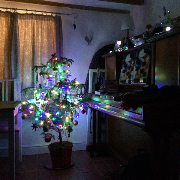 Show Us Your TREES!