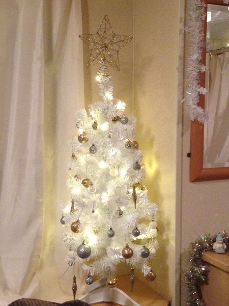 To be angry and upset with dp over Christmas tree?