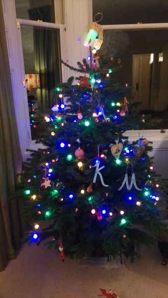 Show Us Your TREES!