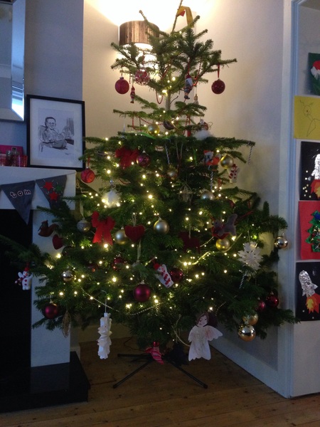 Show Us Your TREES!