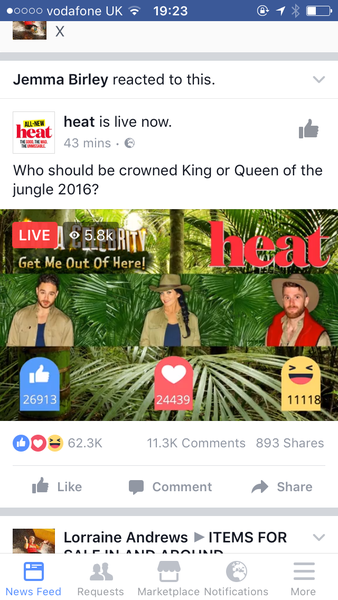 I'm a Celeb - bugs, critters and happy campers!