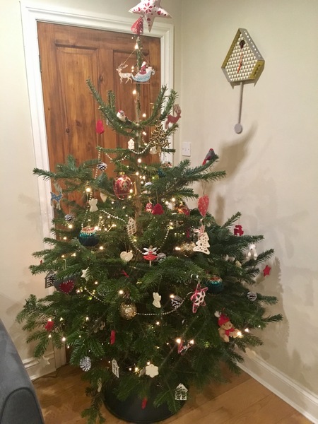 Show Us Your TREES!