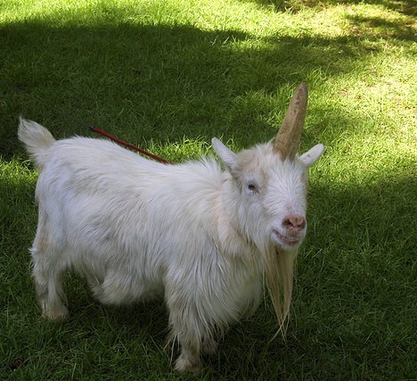 I don't have big piles.