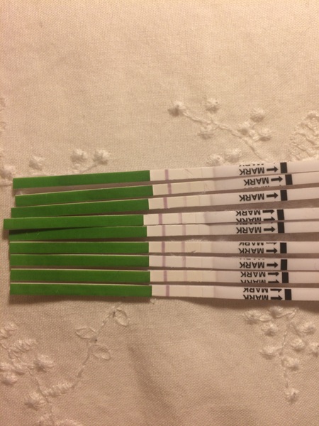 another opk 'have I ovulated' ?