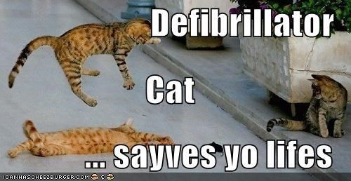 Swagger Inn 140 - Where The Musketeers shout "We've come for your wenches" and The Wenches shout "Okay!"