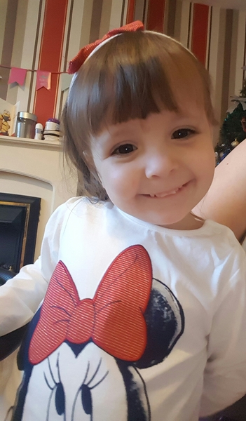 Zombie's Journey - A Wedding, A Final Christmas and Planning for a Wake