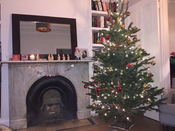 Show Us Your TREES!
