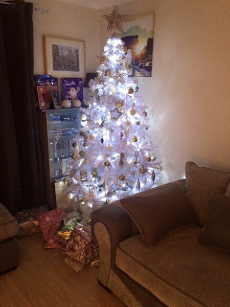 Show Us Your TREES!