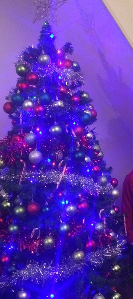 Show Us Your TREES!